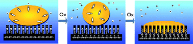 Graphical abstract: Reversible underwater switching between superoleophobicity and superoleophilicity on conducting polymer nanotube arrays