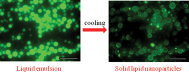 Graphical abstract: Effect of physical state (solid vs. liquid) of lipid core on the rate of transport of oxygen and free radicals in solid lipid nanoparticles and emulsion