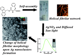 Graphical abstract: Amino acid based smart hydrogel: formation, characterization and fluorescence properties of silver nanoclusters within the hydrogel matrix