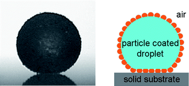 Graphical abstract: Liquid marbles: principles and applications