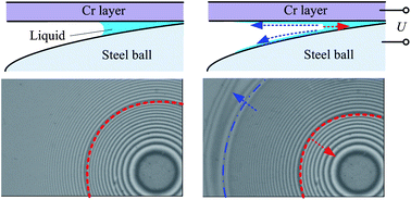 Graphical abstract: Electrospreading of dielectric liquid menisci on the small scale