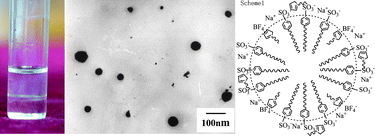 Graphical abstract: Phase behavior of new aqueous two-phase systems: 1-Butyl-3-methylimidazolium tetrafluoroborate + anionic surfactants + water