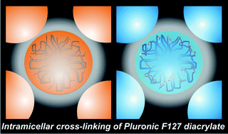 Graphical abstract: Photopolymerization of Pluronic F127 diacrylate: a colloid-templated polymerization