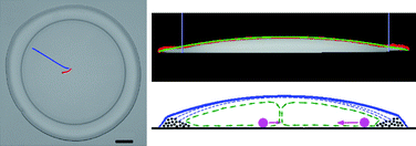 Graphical abstract: Flow triggered by instabilities at the contact line of a drop containing nanoparticles