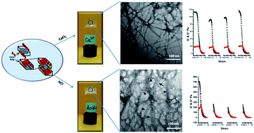 Graphical abstract: Design of a shear-thinning recoverable peptide hydrogel from native sequences and application for influenza H1N1 vaccine adjuvant