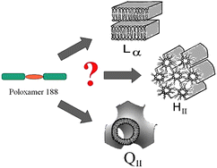 Graphical abstract: Effects of the interaction and surface morphology of mixed DPoPE/Poloxamer 188 monolayers and thin liquid films