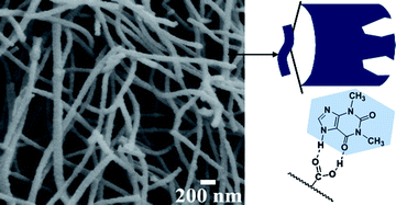 Graphical abstract: Molecular imprinting into organogel nanofibers