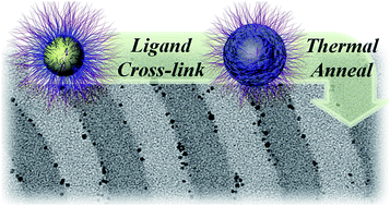 Graphical abstract: Synthesis of thermally stable Au-core/Pt-shell nanoparticles and their segregation behavior in diblock copolymer mixtures