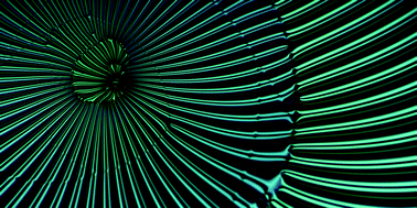 Graphical abstract: Atomic force microscopy of menisci of free-standing smectic films