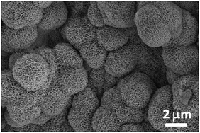 Graphical abstract: Strong and bioactive gelatin–graphene oxide nanocomposites