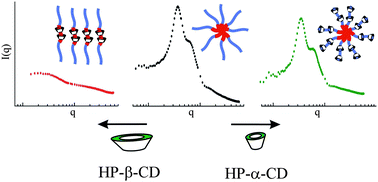 Graphical abstract: Selectivity of cyclodextrins as a parameter to tune the formation of pseudorotaxanes and micelles supramolecular assemblies. A systematic SANS study