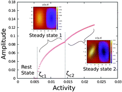 Graphical abstract: Nonequilibrium steady states in polar active fluids