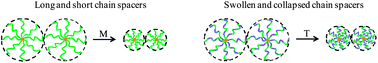 Graphical abstract: Interparticle distance in monolayers controlled by soft spacers