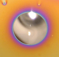 Graphical abstract: How does water wet a hydrosoluble substrate?