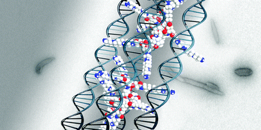 Graphical abstract: DNA condensation with spermine dendrimers: interactions in solution, charge inversion, and morphology control