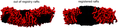 Graphical abstract: Raft registration across bilayers in a molecularly detailed model