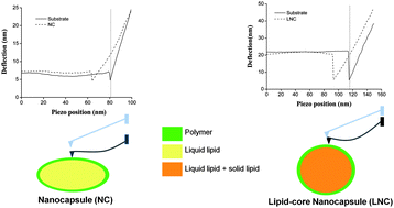 Graphical abstract: Diverse deformation properties of polymeric nanocapsules and lipid-core nanocapsules