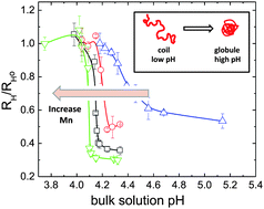 Graphical abstract: Conformation transition and electric potential of single weak polyelectrolyte: molecular weight dependence