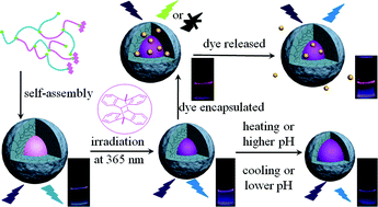 Graphical abstract: Responsive fluorescent core-crosslinked polymer particles based on the anthracene-containing hyperbranched poly(ether amine) (hPEA–AN)