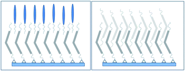 Graphical abstract: Alignment by Langmuir/Schaefer monolayers of bent-core liquid crystals