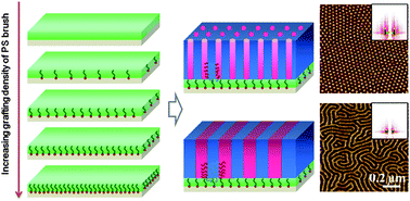 Graphical abstract: Perpendicular orientation of microdomains in PS-b-PMMA thin films on the PS brushed substrates