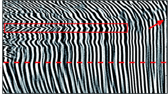 Graphical abstract: From stress-induced fluidization processes to Herschel-Bulkley behaviour in simple yield stress fluids