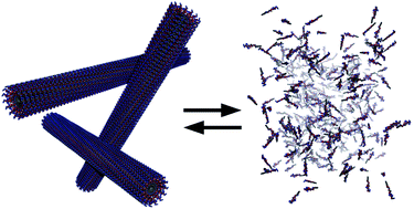 Graphical abstract: Switching of self-assembly in a peptide nanostructure with a specific enzyme