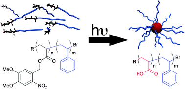 Graphical abstract: Photo-induced micellization of block copolymers bearing 4,5-dimethoxy-2-nitrobenzyl side groups