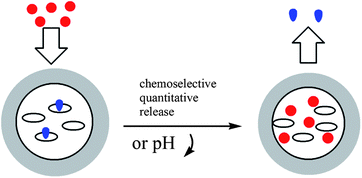 Graphical abstract: A hydrophilic unimolecular nanocapsule with cyclodextrin moieties in the core: chemically triggered on-demand release and pH-response