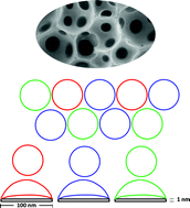 Graphical abstract: Clay nanoplatelet induced morphological evolutions during polymeric foaming