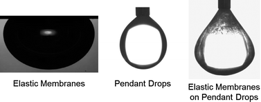 Graphical abstract: Mechanics of pendant drops and axisymmetric membranes