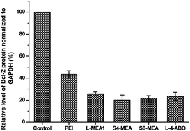 Graphical abstract: Amino poly(glycerol methacrylate)s for oligonucleic acid delivery with enhanced transfection efficiency and low cytotoxicity