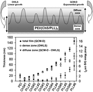 Graphical abstract: Evidence of different growth regimes coexisting within biomimetic Layer-by-Layer films