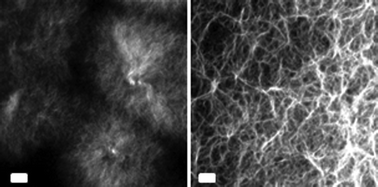 Graphical abstract: Tuneable mechanical properties in low molecular weight gels