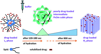 Graphical abstract: In situ characterization of lipidic bupivacaine-loaded formulations