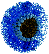 Graphical abstract: Structural properties of soluble peptide amphiphile micelles