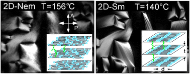 Graphical abstract: Direct observation of two-dimensional nematic and smectic ordering in freely suspended films of a bolaamphiphilic liquid crystal