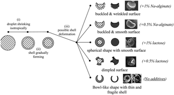 Graphical abstract: On spray drying of uniform silica-based microencapsulates for controlled release