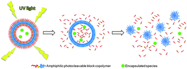 Graphical abstract: Photoresponsive polymersomes as smart, triggerable nanocarriers