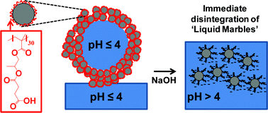 Graphical abstract: Preparation of stimulus-responsive liquid marbles using a polyacid-stabilised polystyrene latex