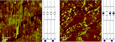 Graphical abstract: Zinc modified polydiacetylene Langmuir films