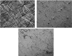 Graphical abstract: Solvent-mediated fiber growth in organogels