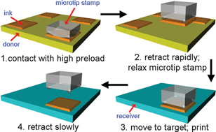 Graphical abstract: Mechanics of reversible adhesion