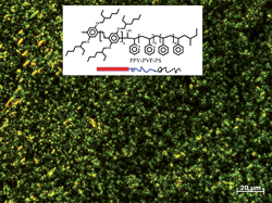 Graphical abstract: Effect of rod–rod interaction on self-assembly behavior of ABC π-conjugated rod–coil–coil triblock copolymers