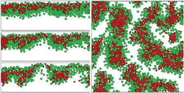 Graphical abstract: Hydrodynamic Rayleigh-Taylor-like instabilities in sedimenting colloidal mixtures