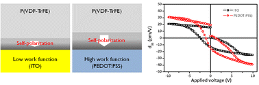 Graphical abstract: The piezoresponse force microscopy investigation of self-polarization alignment in poly(vinylidene fluoride-co-trifluoroethylene) ultrathin films
