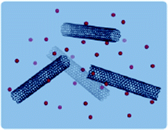 Graphical abstract: Portrait of carbon nanotube salts as soluble polyelectrolytes