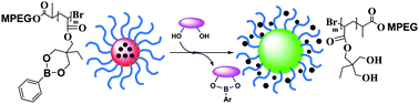 Graphical abstract: A facile strategy for polymers to achieve glucose-responsive behavior at neutral pH