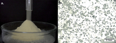 Graphical abstract: “Dry ionic liquid” as a newcomer to “dry matter”