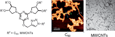 Graphical abstract: Soft matter nanocomposites by grafting a versatile organogelator to carbon nanostructures